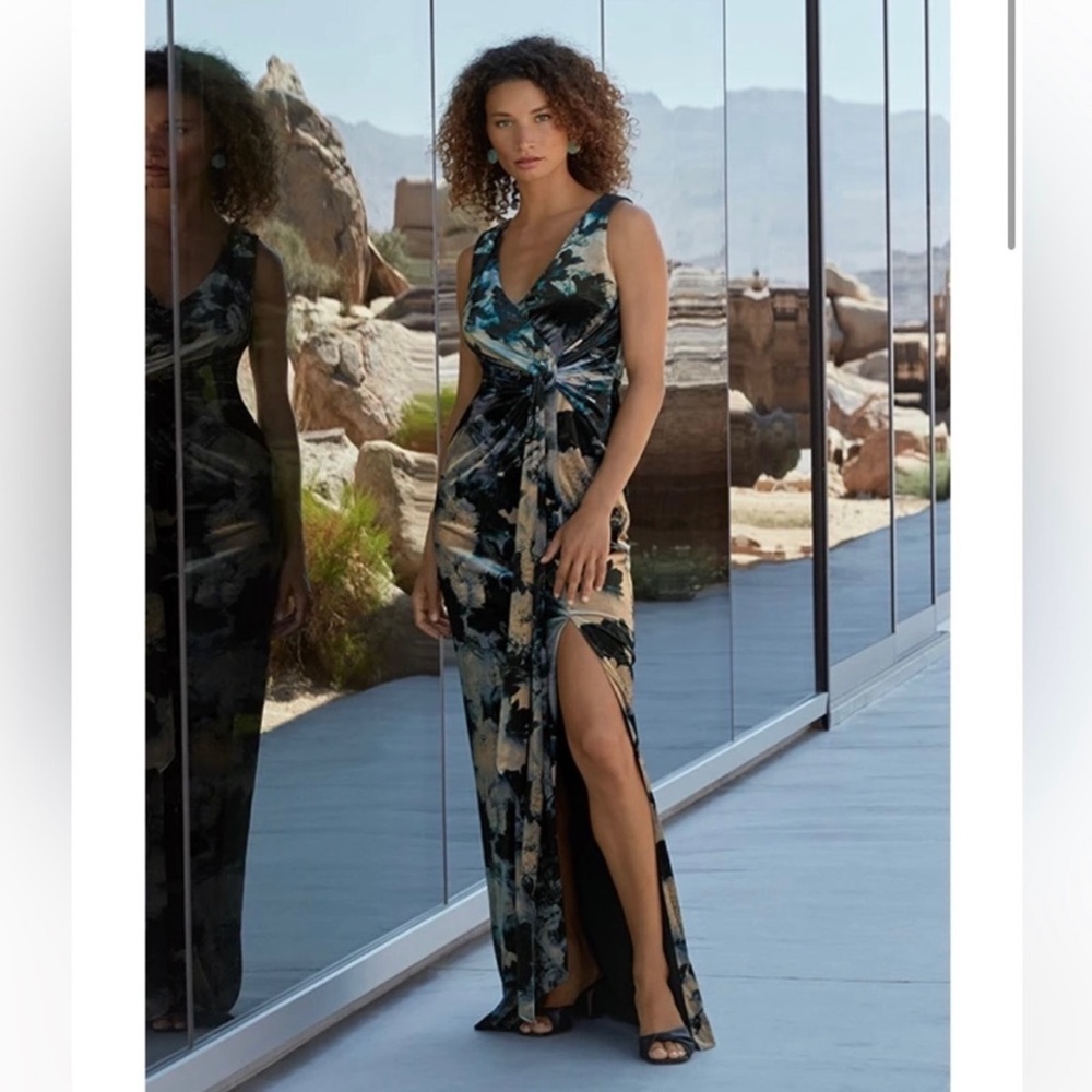 NWT! Johnny Was Sherwood Mist Velvet Dress Size 6 - Picture 5 of 11